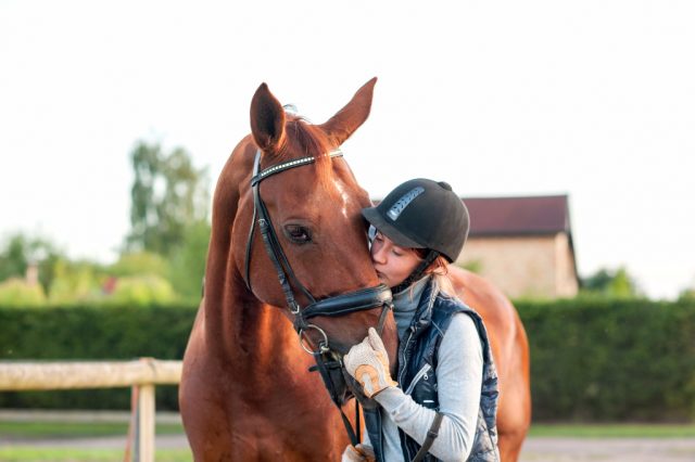Verwöhne dein Pferd mit Zeit! © Shutterstock / Anna Elizabeth Photography