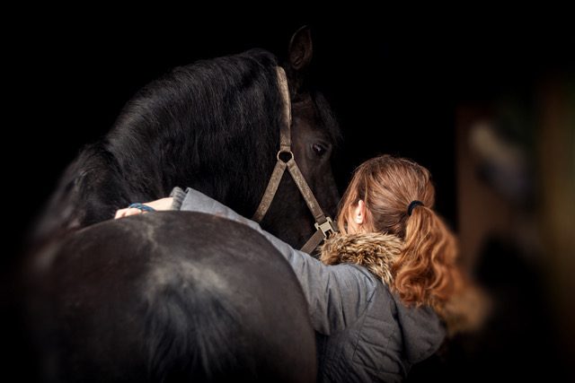 Dein Pferd wird sich über eine Massage freue. © Simon Wackerle