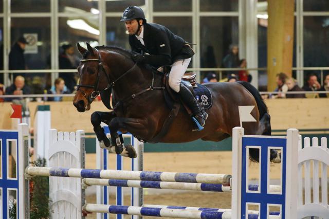 Tomasz Laufer (SLO) ritt im S* Springen auf Heart Stealer souverän zum Sieg und empfiehlt sich damit natürlich für den MAGNA RACINO Grand Prix morgen © Manfred Leitgeb