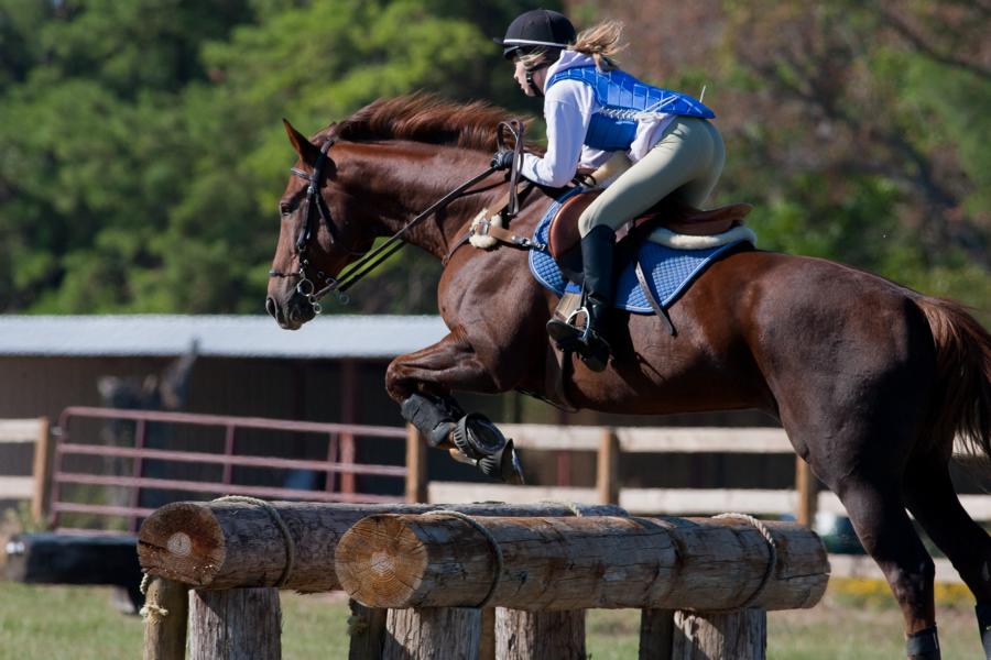 „Tief“ im Sattel – 5 Tipps gegen negative Phasen im Pferdesport!