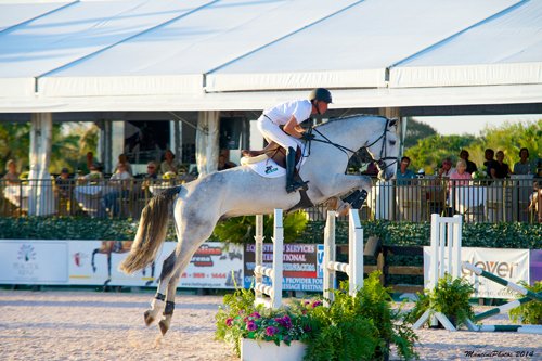 WEF Sport Horse Auction © Mancini Photos, www.manciniphotos.com