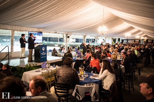 WEF Sport Horse Auction © Elena Lusenti