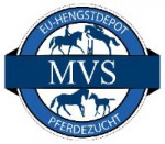 MVS_Pferdezucht