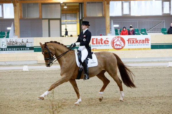 Lea-Elisabeth Pointinger (NÖ) und ihr Gino liegen aktuell auf Platz 13 der Young Rider Weltrangliste © Manfred Leitgeb