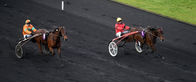 Bold Eagle besiegt Billie de Montfort im Prix Charles Tiercelin © Gerard Forni