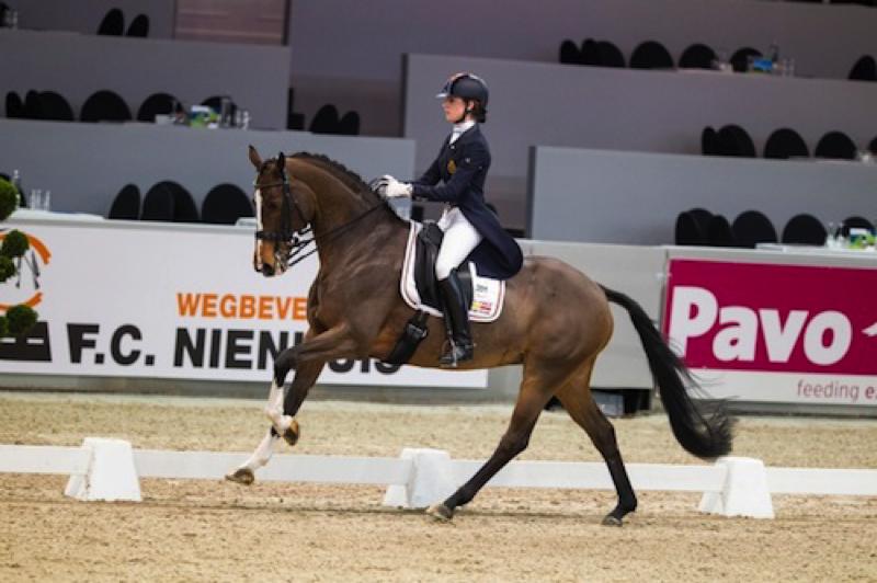 Antonia Arl und Equestricons Ziggy© AGDF