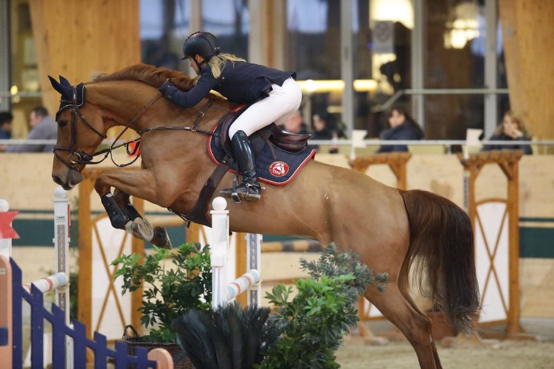 Stefanie Bistan und Balisto AC waren heute in der Gold Tour hoch platziert! © Manfred Leitgeb (Archiv)