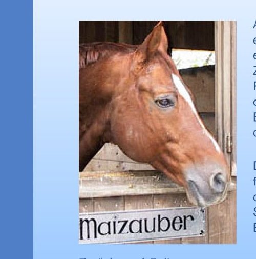  E.H. Maizauber auf der Website www.pferde-kinderbuch.ch seiner Eigentümerin Jacqueline Senn-Arber.
