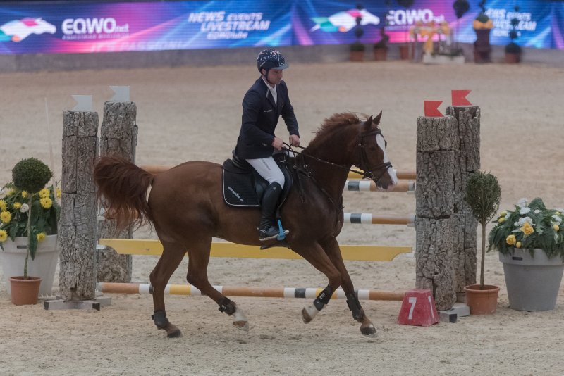 Astronaut Arni galoppierte unter Alfred Greimel (G+P Reitstall Schloss Frauental) zu Platz drei in der Big STY Jumping Competition. © Michael Graf