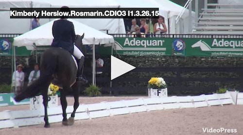 Click to see the leading ride by Kimberly Herslow and Rosmarin. Video courtesy of Campfield Videos