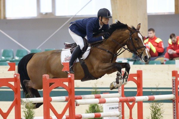 Mit der erst 8-jährigen Stute Electric Touch landete Max Kühner auf Platz 2. © Manfred Leitgeb