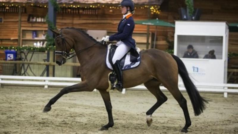 Dana van Lierop and Equestricons Walküre© AGDF