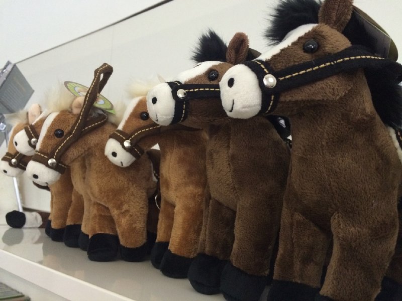 Auch diese „Pferde“ warten auf ihr neues Zuhause. © Gille