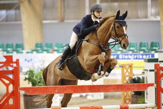 Ales Opatrny (CZE) gewann mit Dimaro vd Looise Heide den CSI2* Grand Prix of Wiener Neustadt - Lake Arena. © Manfred Leitgeb (Archiv)