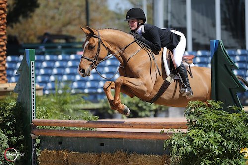 Schaefer Raposa and Lucille. © Sportfot