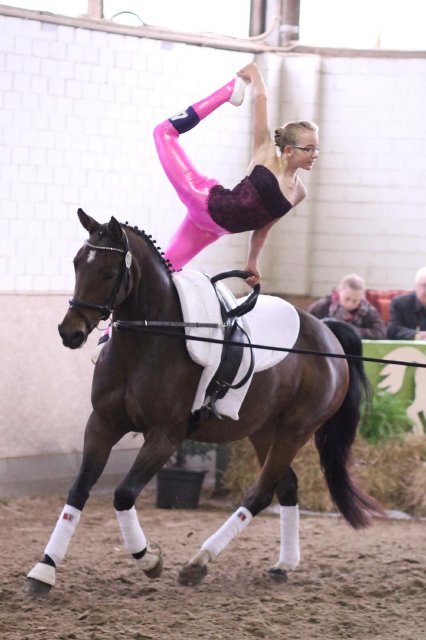 Caroline Reckordt will beim SIGNAL IDUNA CUP vorne mitreiten © Caroline Reckordt