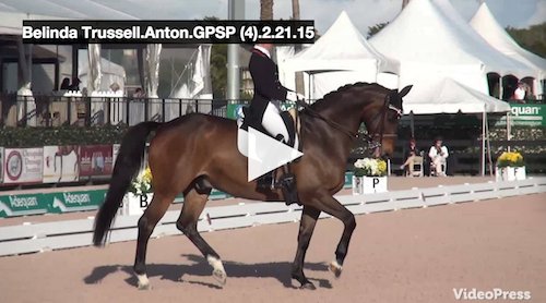 CLICK HERE to watch the winning test for Belinda and Anton! Video courtesy of Campfield Videos.