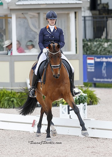 Dana van Lierop und Equestricons Walküre. © Susan J Stickle