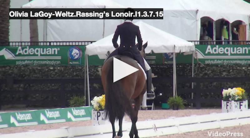 HIER gibt es das Video von Olivia LaGoy-Weltz (USA) und Rassing's Lonoir. © Campfield Videos