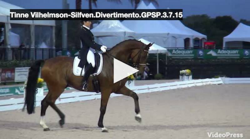 Click to watch the winning test for Tinne Vilhelmson-Silfven and Divertimento!