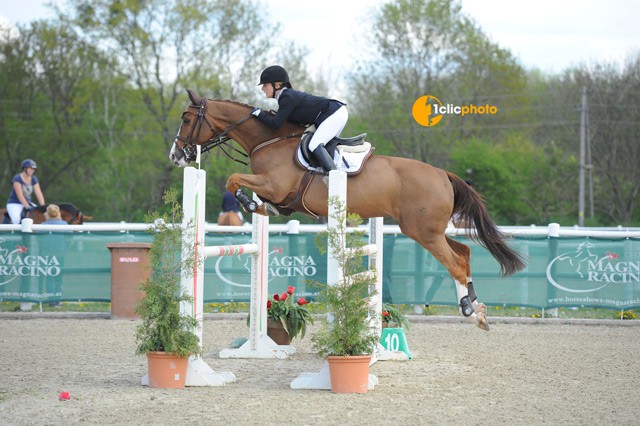 Christiane Boos (GER) kürte sich auf Valesco Van De Geeneinde zur VIP Medium Tour Siegerin © Nicole Ciscato