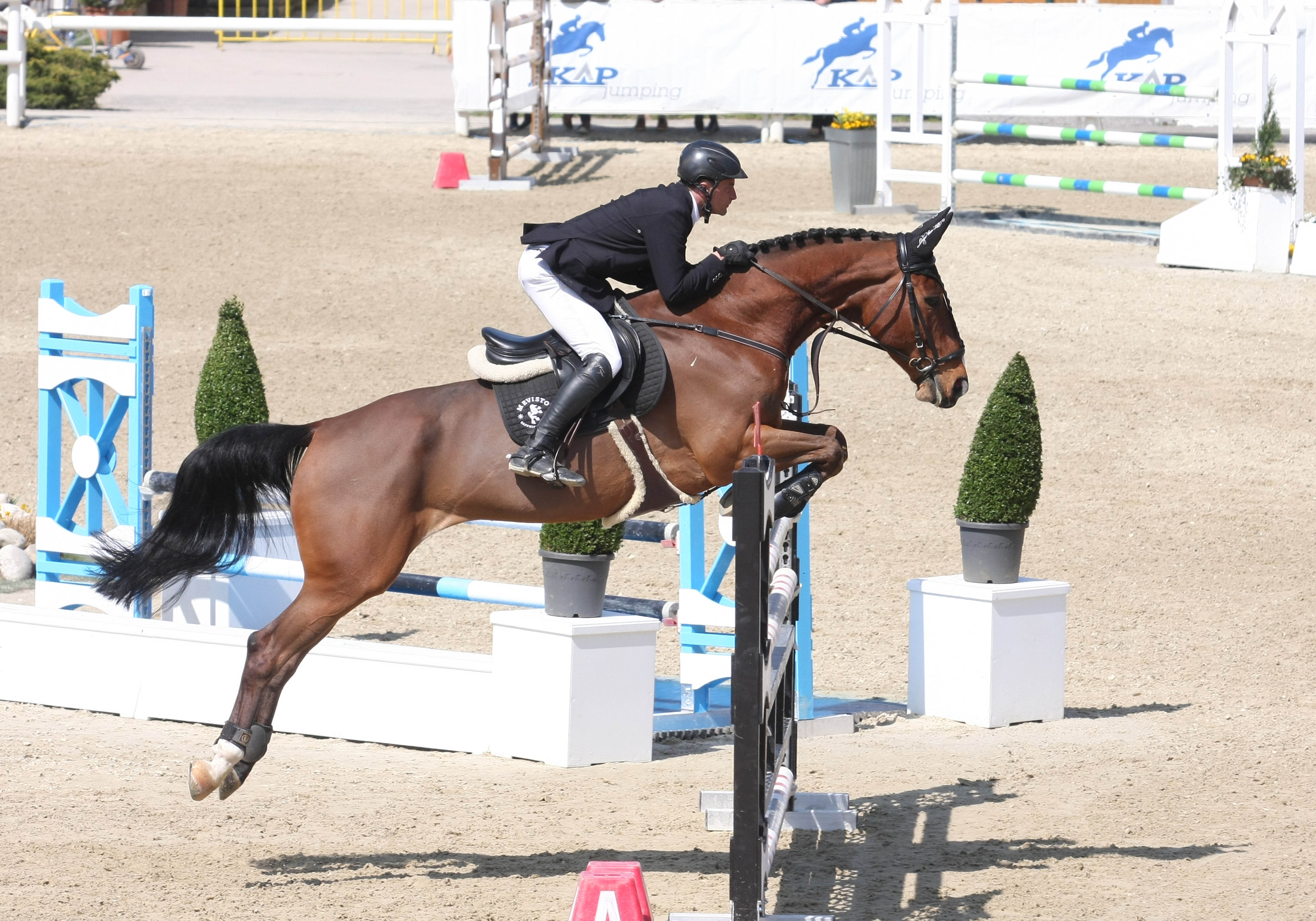 Roland Englbrecht (OÖ) und Loki Doki auf dem Weg zum Sieg in der 1,40 m hohen S*-Springprüfung. © Krisztian Buthi