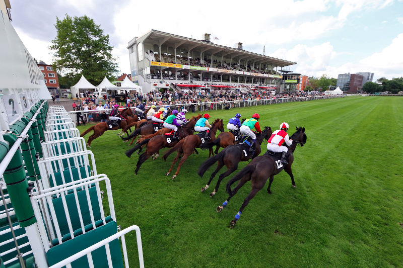 Insgesamt 53 dreijährige Pferde stehen nach dem siebten Streichungstermin im Aufgebot für das IDEE 146. Deutsche Derby am 5. Juli 2015 in Hamburg-Horn. © Frank Sorge