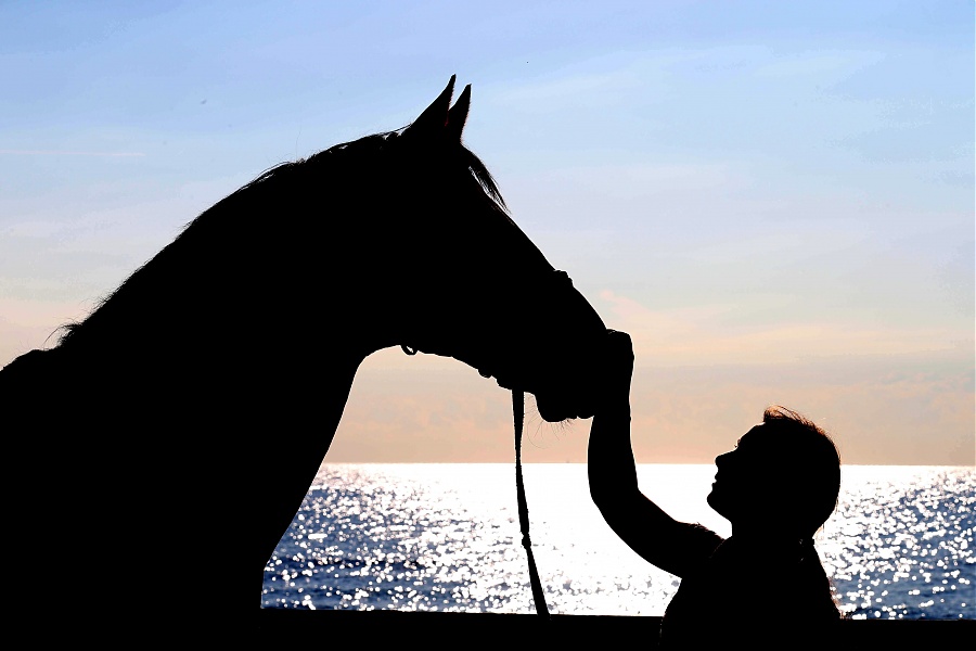 Excitement builds at the Miami Beach Launch Equestrian Worldwide