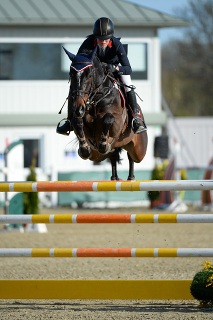 Jenny Johansson (SWE) belegte mit Dakota den dritten Rang © Hervé Bonnaud