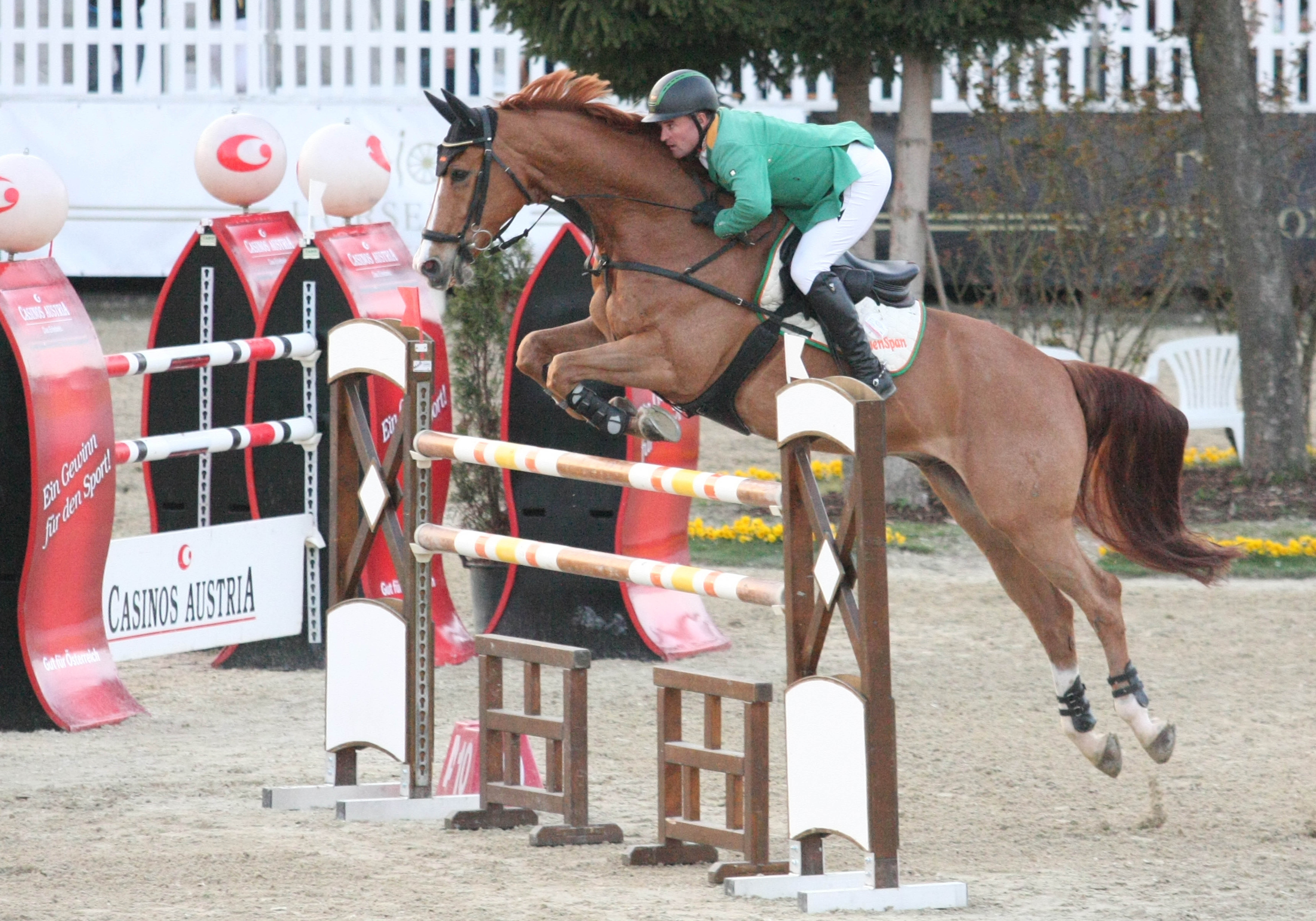 Dieter Köfler und Golden Gun siegen in der Casino Grand Prix powered by muki Qualifikation. © Krisztian Buthi