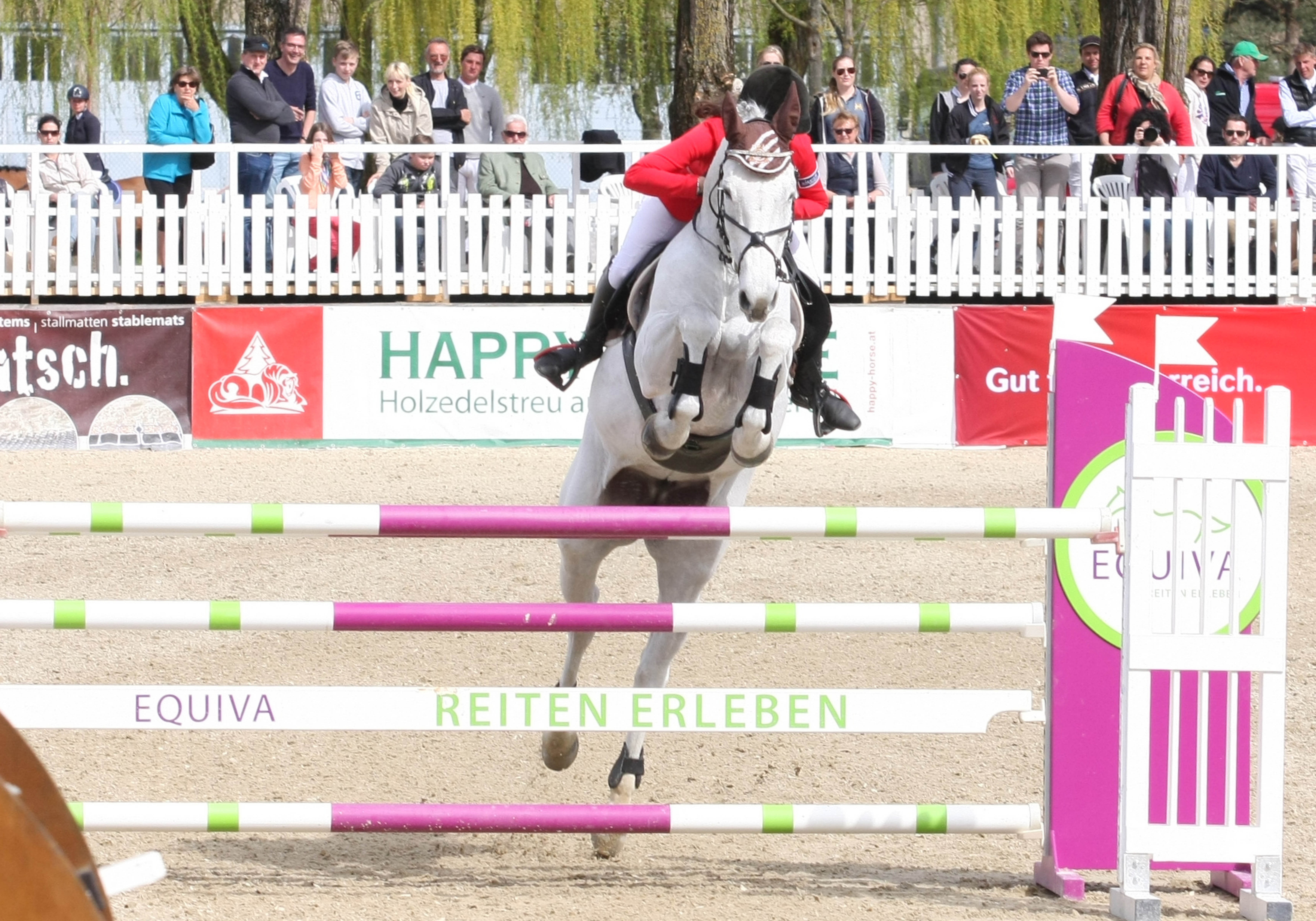 Nani Kulmitzer und Colbera auf dem Weg zum Sieg. © Krisztian Buthi