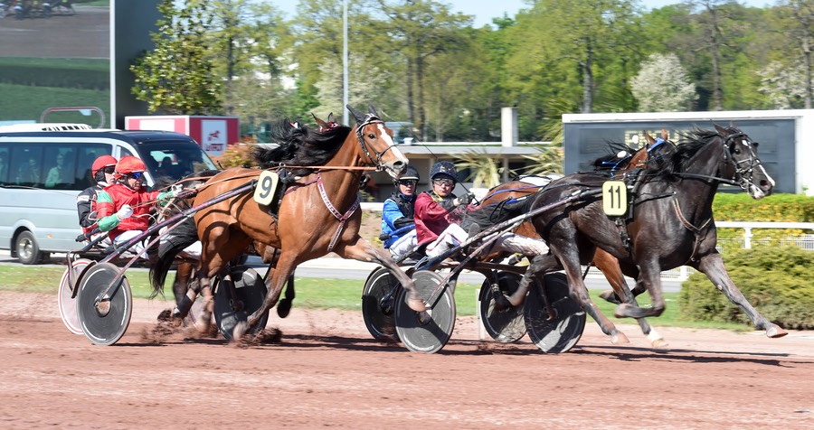 Ein neues Siegergesicht auf höchster Ebene: Moving On (11) macht ihrem Namen alle Ehre und prescht mit Franck Nivard an Timoko (innen verdeckt) vorbei, Princess Grif (9) läuft auf den Ehrenplatz. Innen dahinter hat Robert Bi keine Chance auf Entfaltung. © Gerard Forni