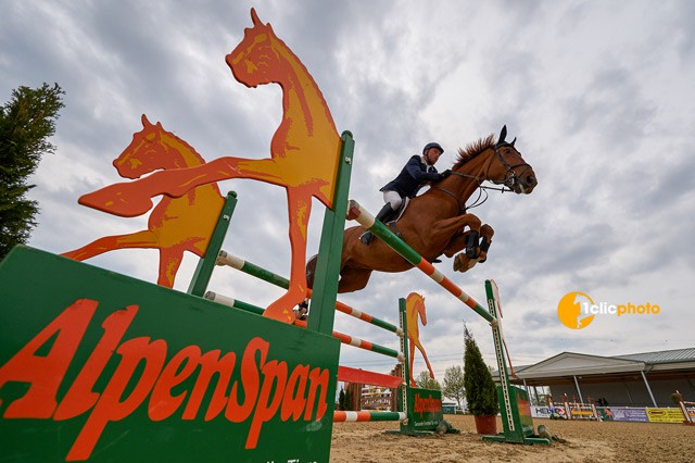 Seriensieger Keith Shore (GBR) schlägt diesesmal auf Rubiroso JX in der Platin Tour zu © Hervé Bonnaud