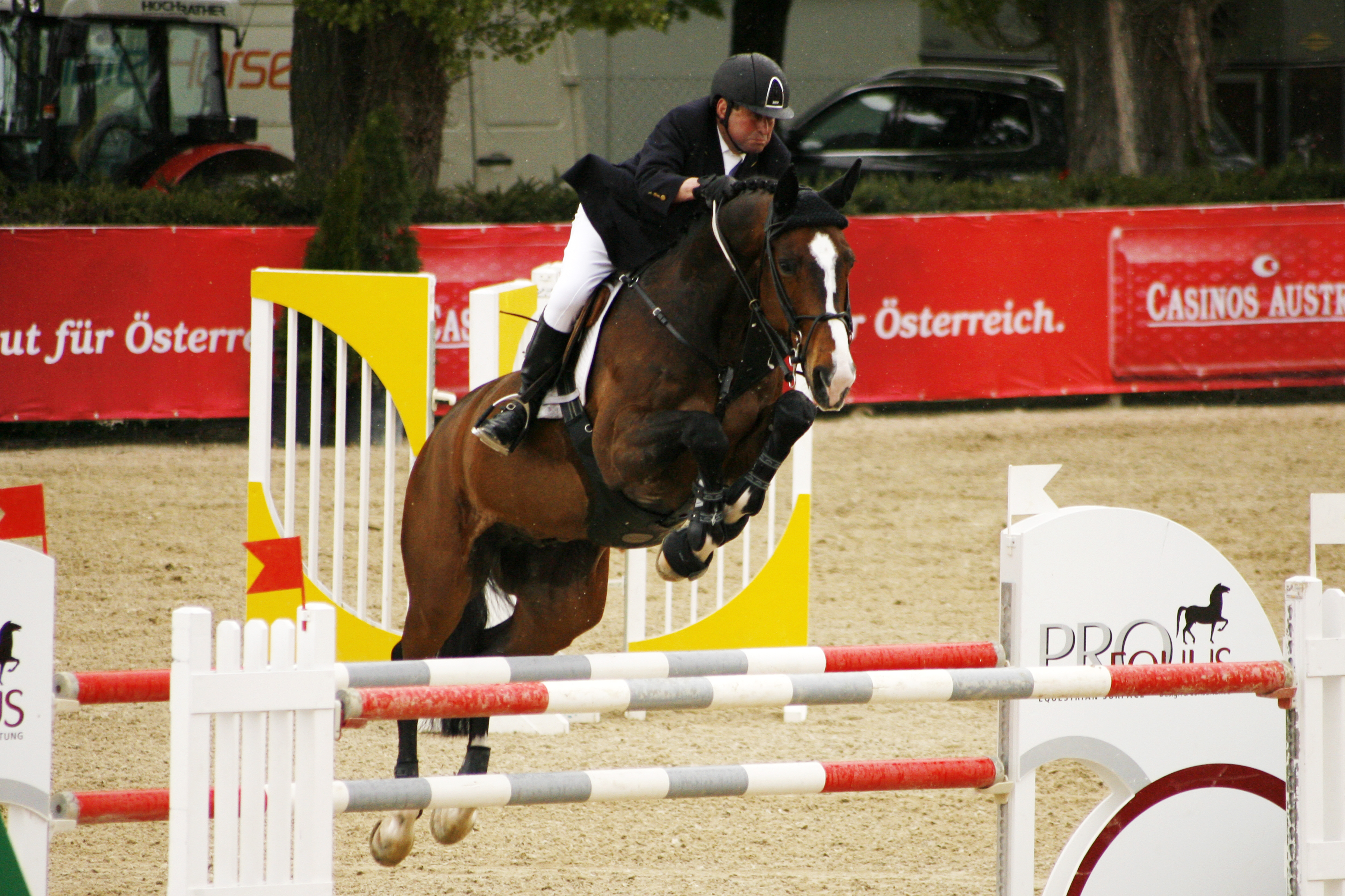 Hugo Simon und Freddy 7 wieder in Linz am Start. © Linzer Pferdefestival