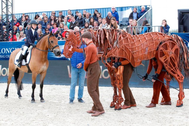 The War Horse was presented in Antwerp. © Stefano Grasso/LGCT