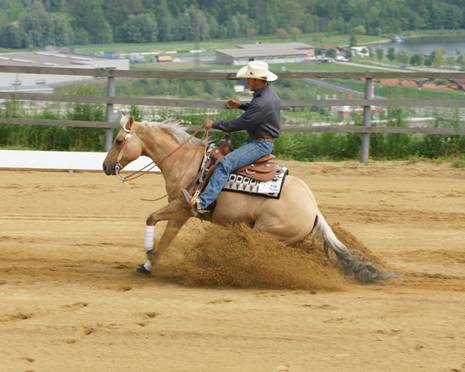 2014 siegte Josef Mittmannsgruber mit Red Pine Command in der Open Class © Verena Grosstessner