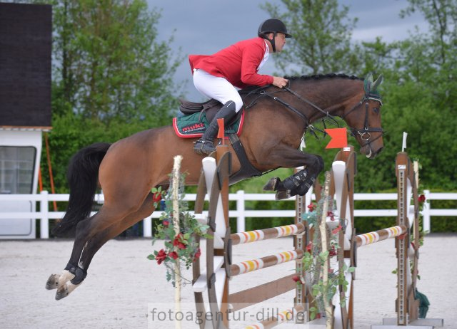 Der Sieg im L-Springen für fünfjährige Pferde ging an die Question d'Honneur-Tochter unter MUKI-Teamreiter Matthias Atzmüller (OÖ). © Fotoagentur Dill – www.fotoagentur-dill.de