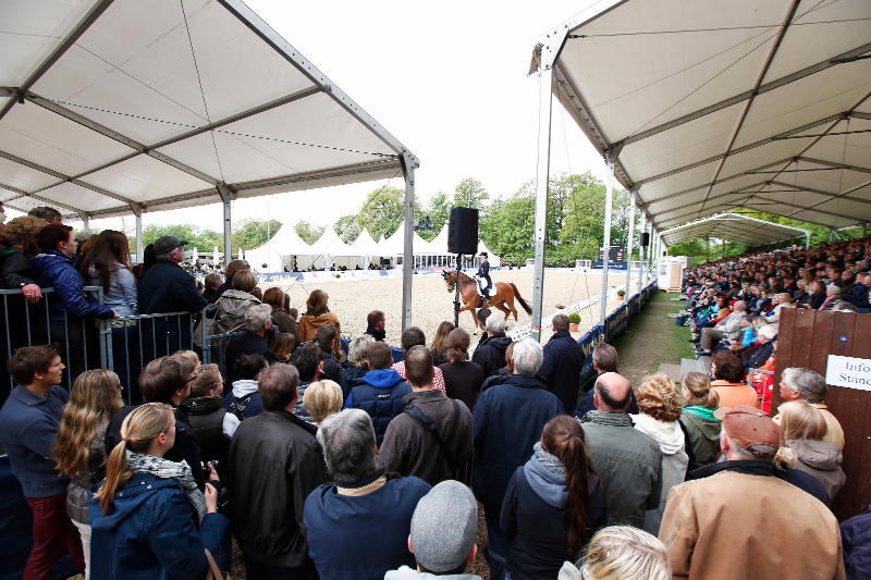 Begeisterung pur auch bei der Dressur in Hamburg - der Blick in das dicht umlagerte Dressurstadion. © Hellmann