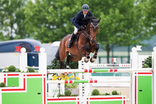 Cerafina S sprang unter Andreas Brenner (GER) in der Alpenspan Youngster Tour souverän zum Sieg! © Tomas Holcbecher