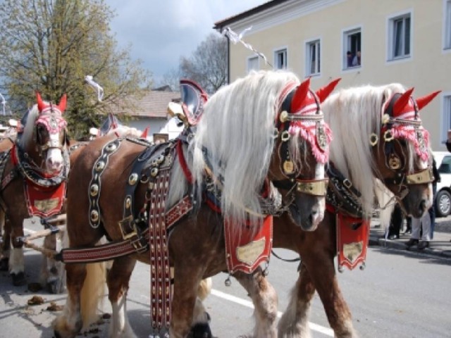 Das Jagdwagengespann © Georgirittverein St. Georgen-Burgkirchen