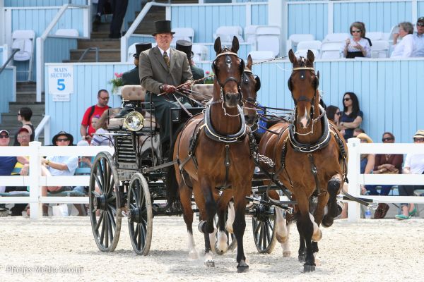 Todd Draheim Drives Misdee Miller\'s Championship | weltweit Devon Team - Pferdesport to Equestrian Wrigley Four-in-Hand Worldwide
