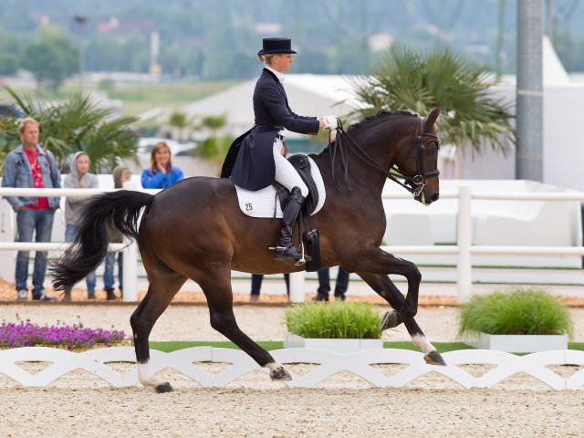 Fiderstern put on a magnificent show in his first Intermediaire I freestyle and, under Christine Eglinski (GER), came third. © Michael Rzepa
