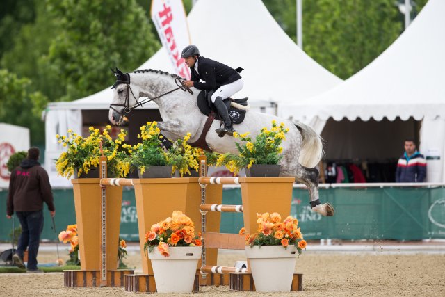 ​Der achtjährige Chambery macht seine Sache im internationalen Parcours unter Rolands Sattel schon hervorragend. © Tomas Holcbecher