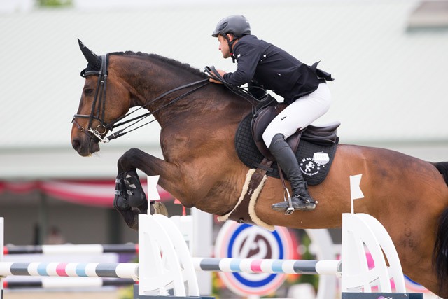 Für Mevisto Teamreiter Roland Englbrecht (OÖ) und Mevisto's Poorboy gab es heute mit Platz drei im Gold Tour Finale um den Preis vom Gestüt Römerhof den nächsten Erfolg zu feiern. © Tomas Holcbecher