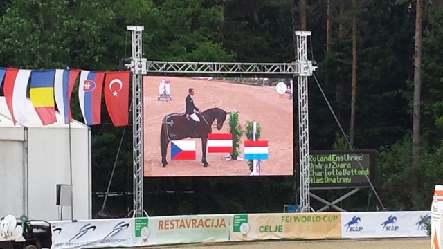 Das Siegerduo im Grand Prix von Celje: Mevisto's Poorboy und Roland Englbrecht! © sIBIL sLEJKO