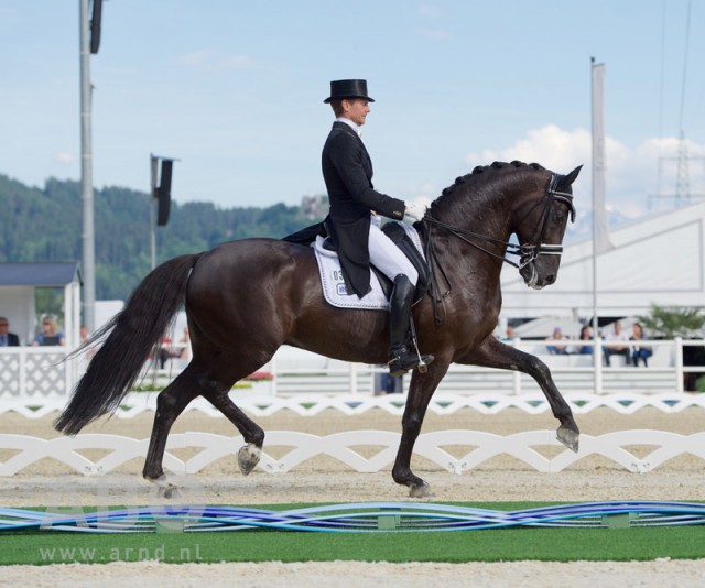 GLOCK Rider Edward Gal (NED) and GLOCK's Voice rode in calm and magnificent style to victory in the CDI4* Grand Prix de Dressage. © Arnd Bronkhorst