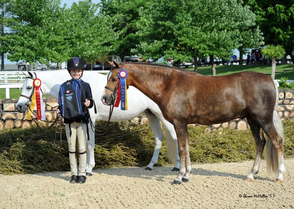 Sophie Gochman earned the Pony Hunter Grand Championship with Bit of Love. © McMiller