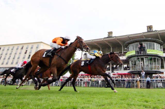 Das IDEE 146. Deutsche Derby rückt näher, noch 53 Pferde stehen im Aufgebot für das bedeutendste deutsche Galopprennen in Hamburg-Horn am 5. Juli © Frank Sorge