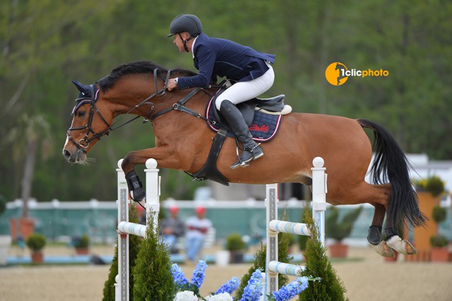 Niederösterreichs Sascha Kainz punktete mit Quasibobo Z auf Platz 12. © Hervé Bonnaud