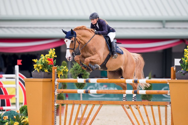 Astrid Kneifel (OÖ) und ihr Duc de Revel. © Tomas Holcbecher